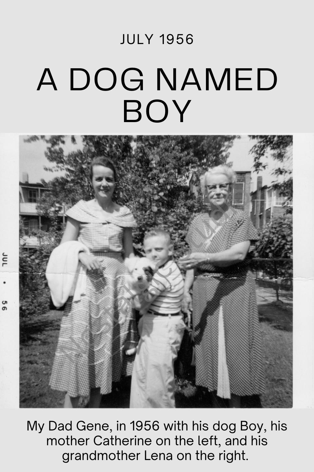 A Dog Named Boy